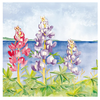 Wendy Hazen Gift Card Lupines
