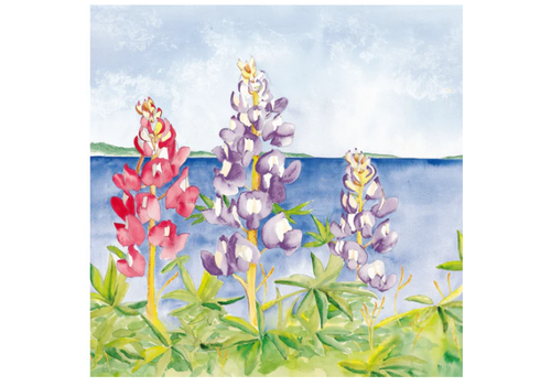  Wendy Hazen Gift Card Lupines 