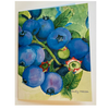 Wendy Hazen Gift Card Blueberries