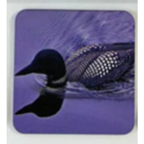  Compass Rose Loon Coaster 
