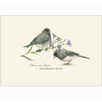 Juncos Boxed Notecards