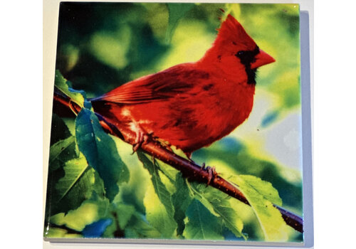  Compass Rose Cardinal Coaster 