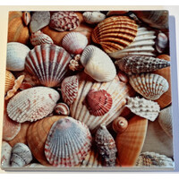 Seashells Coaster