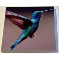 Hummingbird Coaster