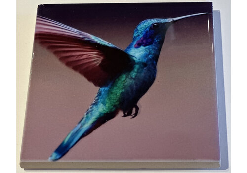  Compass Rose Hummingbird Coaster 