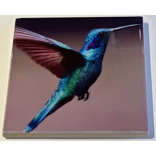  Compass Rose Hummingbird Coaster 