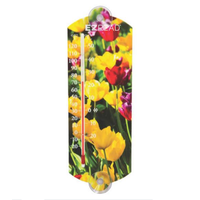 EZ Read 10" Thermometer