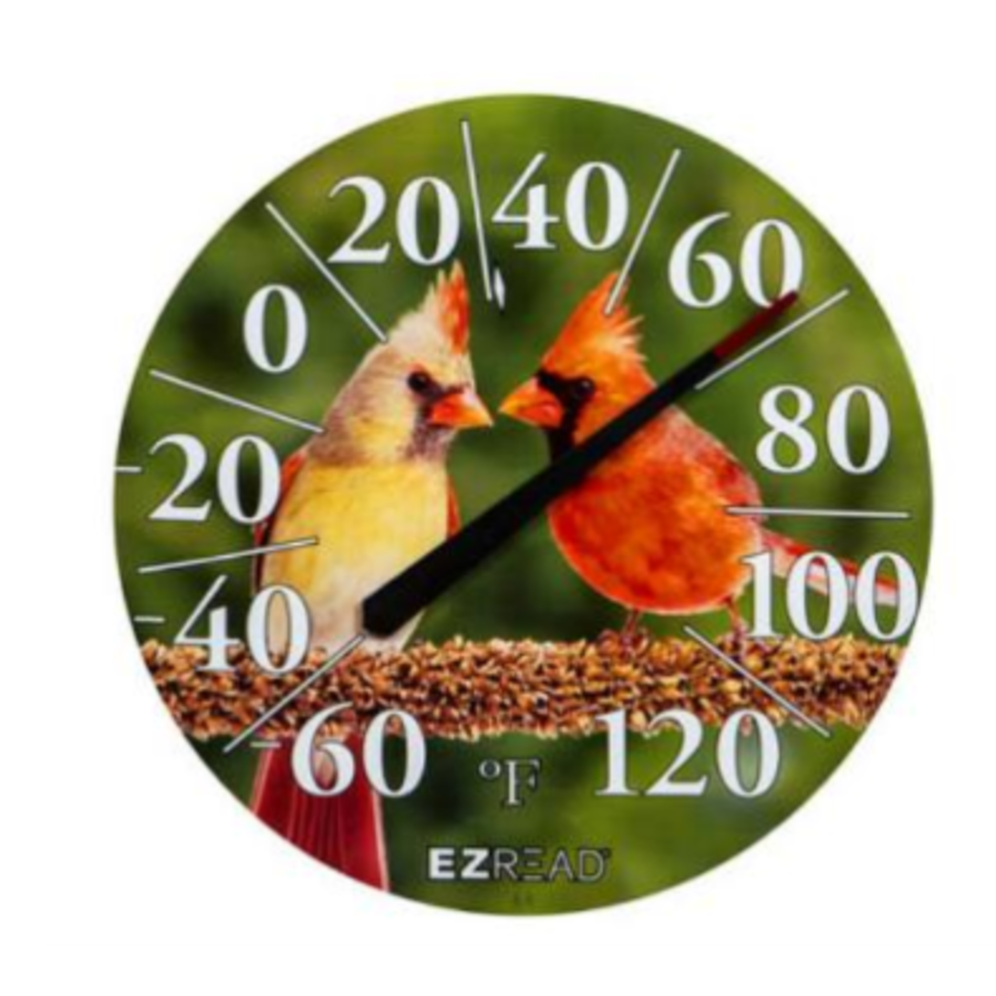 EZ Read 12.5" Dial Thermometer