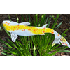 Clever Goods Enamel Koi on Stake
