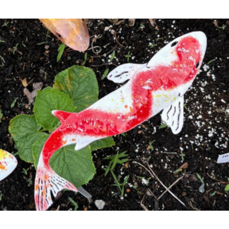 Enamel Koi on Stake