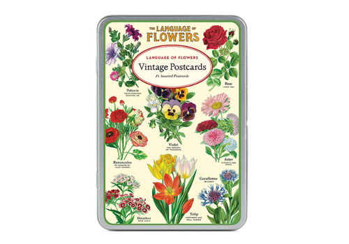  Cavallini Papers & Co Language of Flowers Postcard Set 
