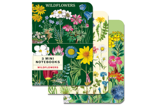  Cavallini Papers & Co Wild Flowers 3 Mini Notebooks 