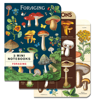 Foraging 3 Mini Notebooks