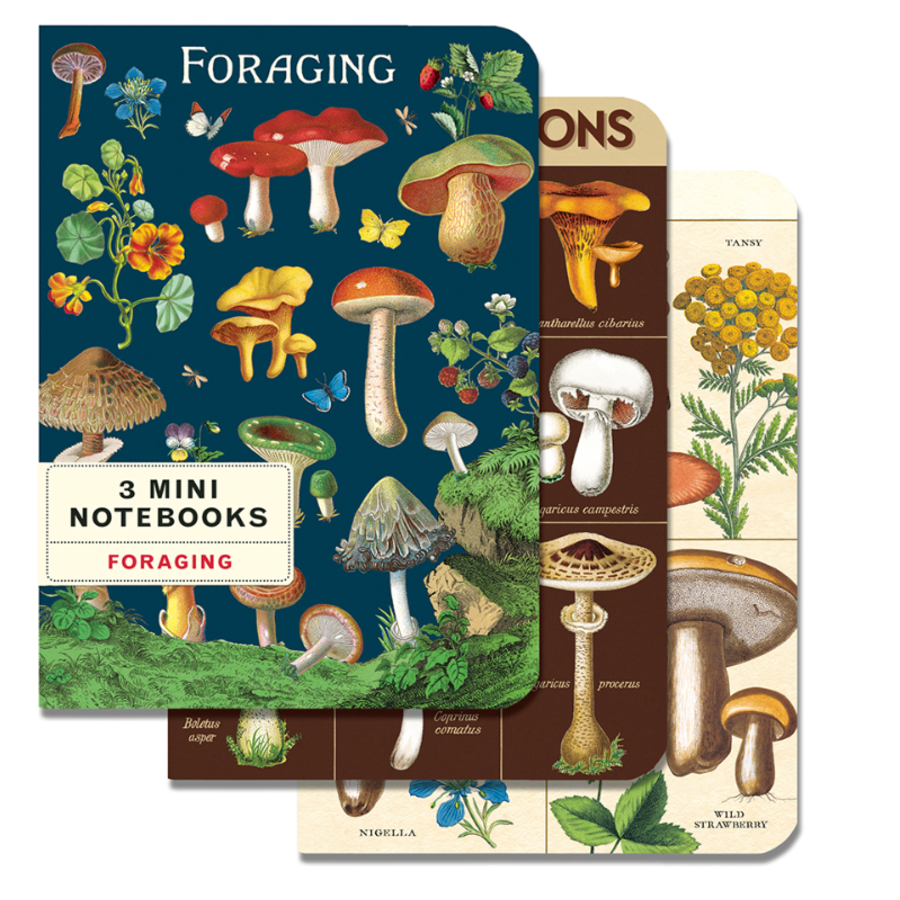 Foraging 3 Mini Notebooks