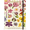 Cavallini Papers & Co Flora Specimens Large Notebook