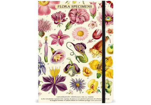  Cavallini Papers & Co Flora Specimens Large Notebook 