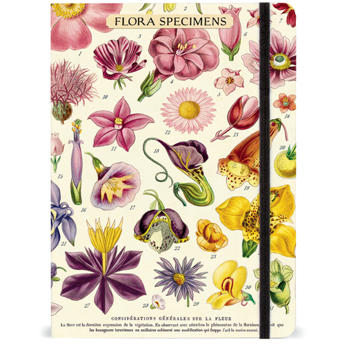  Cavallini Papers & Co Flora Specimens Large Notebook 