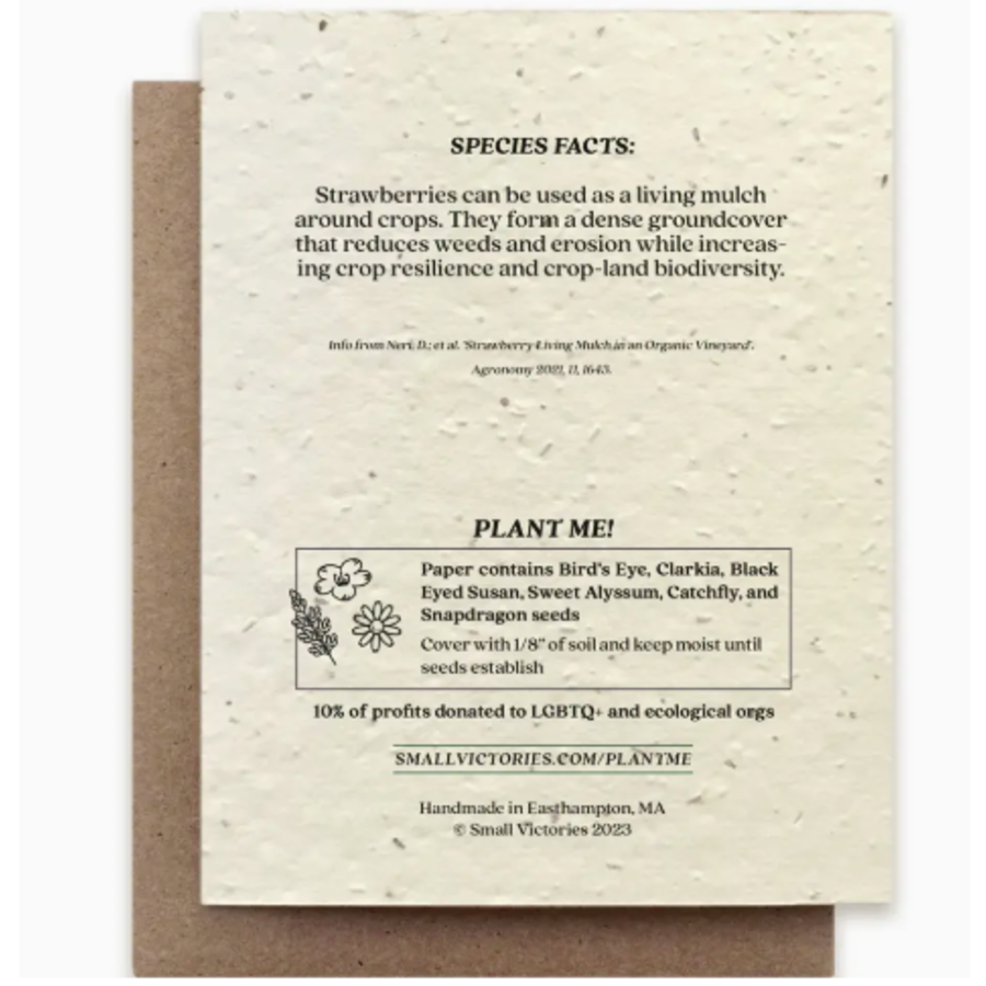 Plantable Wildflower Seed Card - Strawberry