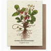 Small Victories Plantable Wildflower Seed Card - Strawberry