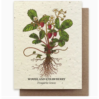 Plantable Wildflower Seed Card - Strawberry