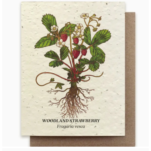  Small Victories Plantable Wildflower Seed Card - Strawberry 