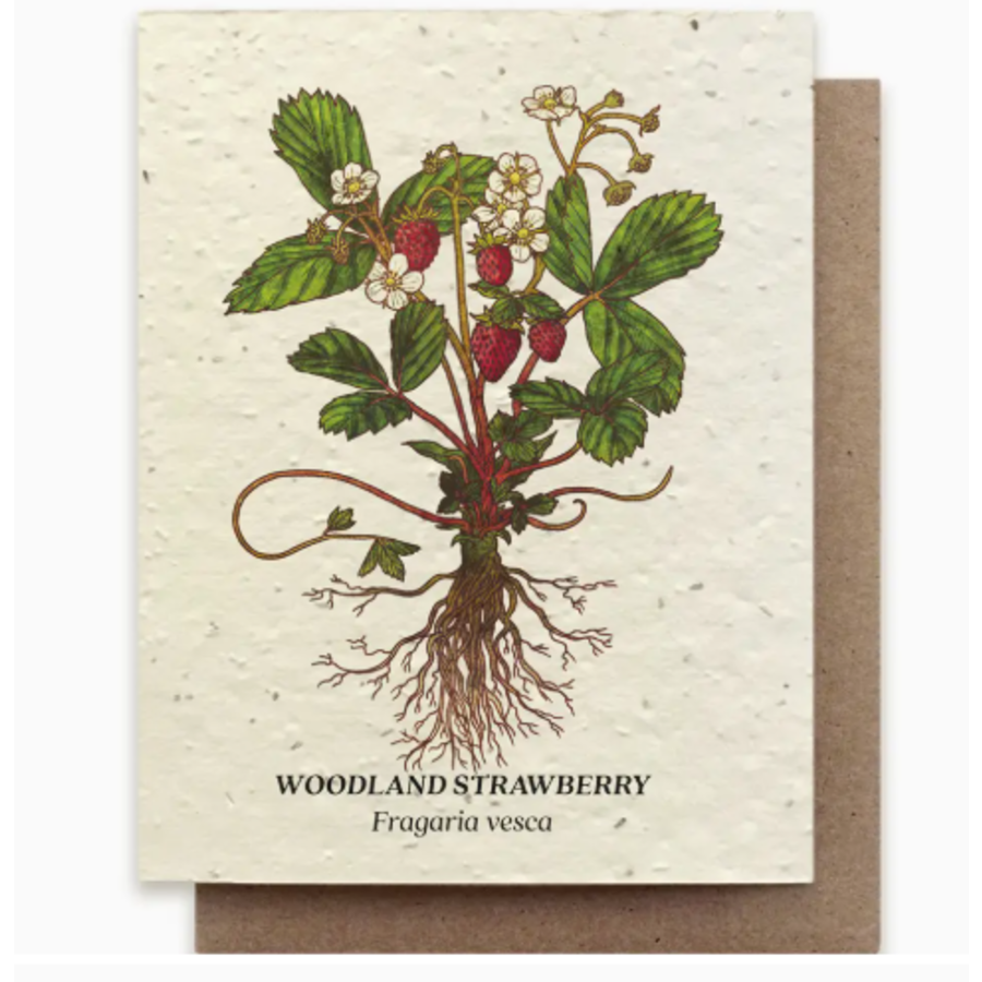 Plantable Wildflower Seed Card - Strawberry