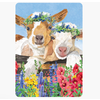 Allport Editions 2 Goats Birthday Card