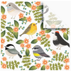 Jillson & Roberts Birdie Tissue