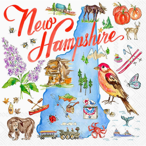  Boston International Paper Cocktail Napkins New Hampshire 