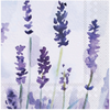 Boston International Paper Cocktail Napkins Lavender