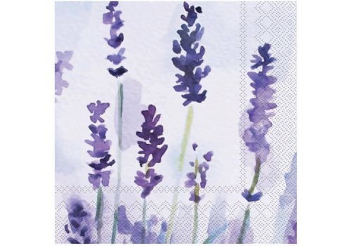 Boston International Paper Cocktail Napkins Lavender 