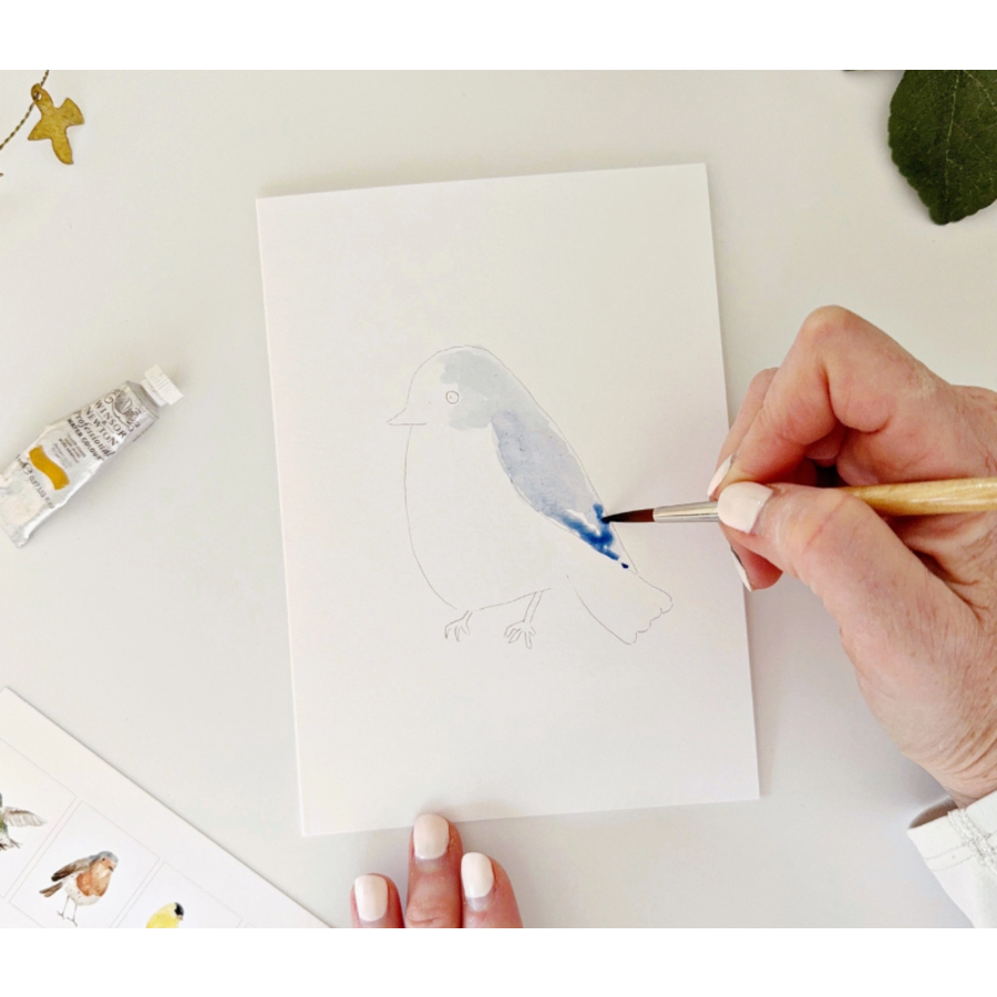Backyard Birds Paintable Notecards