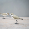 Aviologie Hand Carved Wood Mini Plover