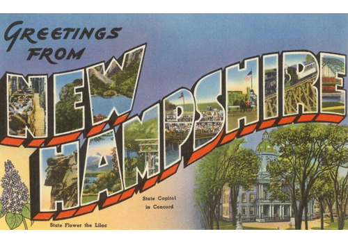  Found Image Press Greetings from NH Vintage Postcard 