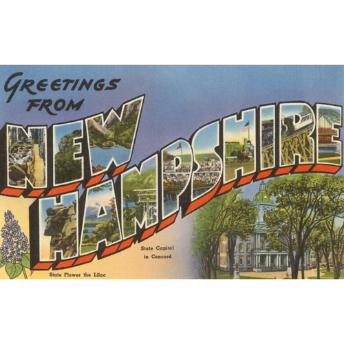  Found Image Press Greetings from NH Vintage Postcard 