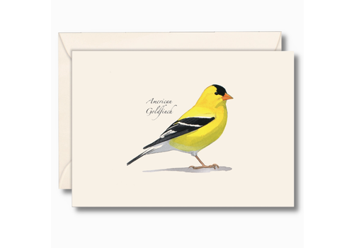 Earth sky water American Goldfinch Boxed Note Cards   Earth sky water American Goldfinch Boxed Note Cards