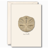 Earth sky water Sand Dollar Boxed Notecards