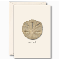 Sand Dollar Boxed Notecards