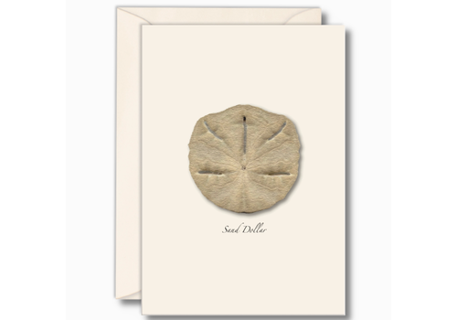 Earth sky water Sand Dollar Boxed Notecards   Earth sky water Sand Dollar Boxed Notecards