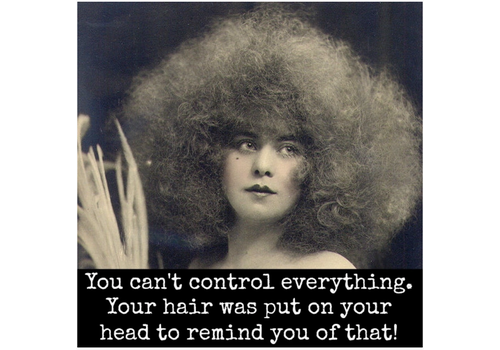  Raven's Rest Studio You Can't Control Everything Magnet 
