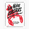 Fridgedoor Live Maine Lobsters Retro Magnet