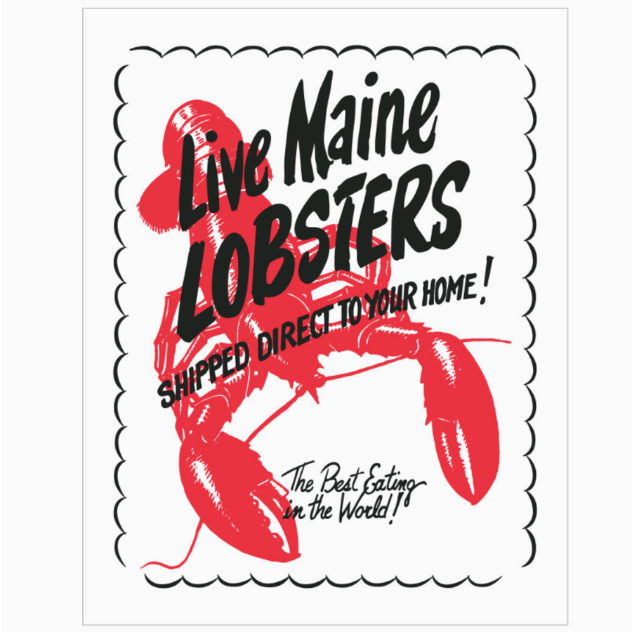 Live Maine Lobsters Retro Magnet