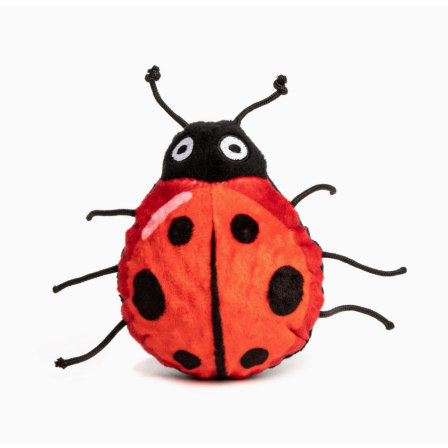 Ladybug Dog Toy
