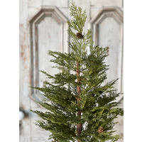 North Rim Hemlock Tree 5'