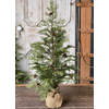 North Rim Hemlock Tree 36"