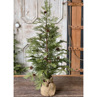 North Rim Hemlock Tree 36"