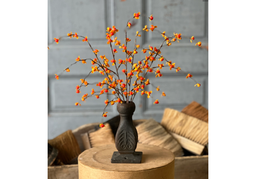 Briery Bittersweet Bush 17"   Briery Bittersweet Bush 17"
