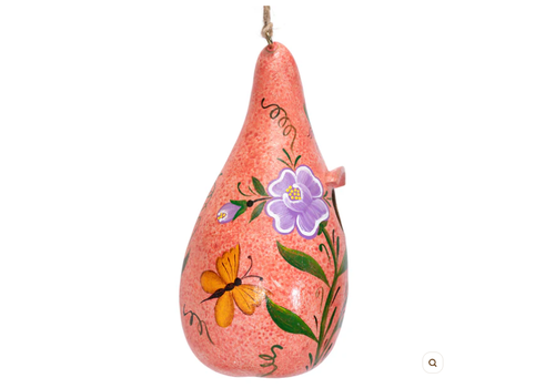 Lucuma Designs Insects Painted Gourd Birdhouse   Lucuma Designs Insects Painted Gourd Birdhouse