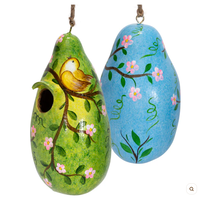 Bird Painted Gourd Birdhouse