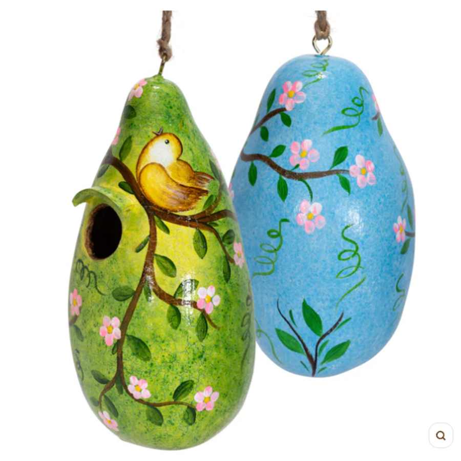 Bird Painted Gourd Birdhouse